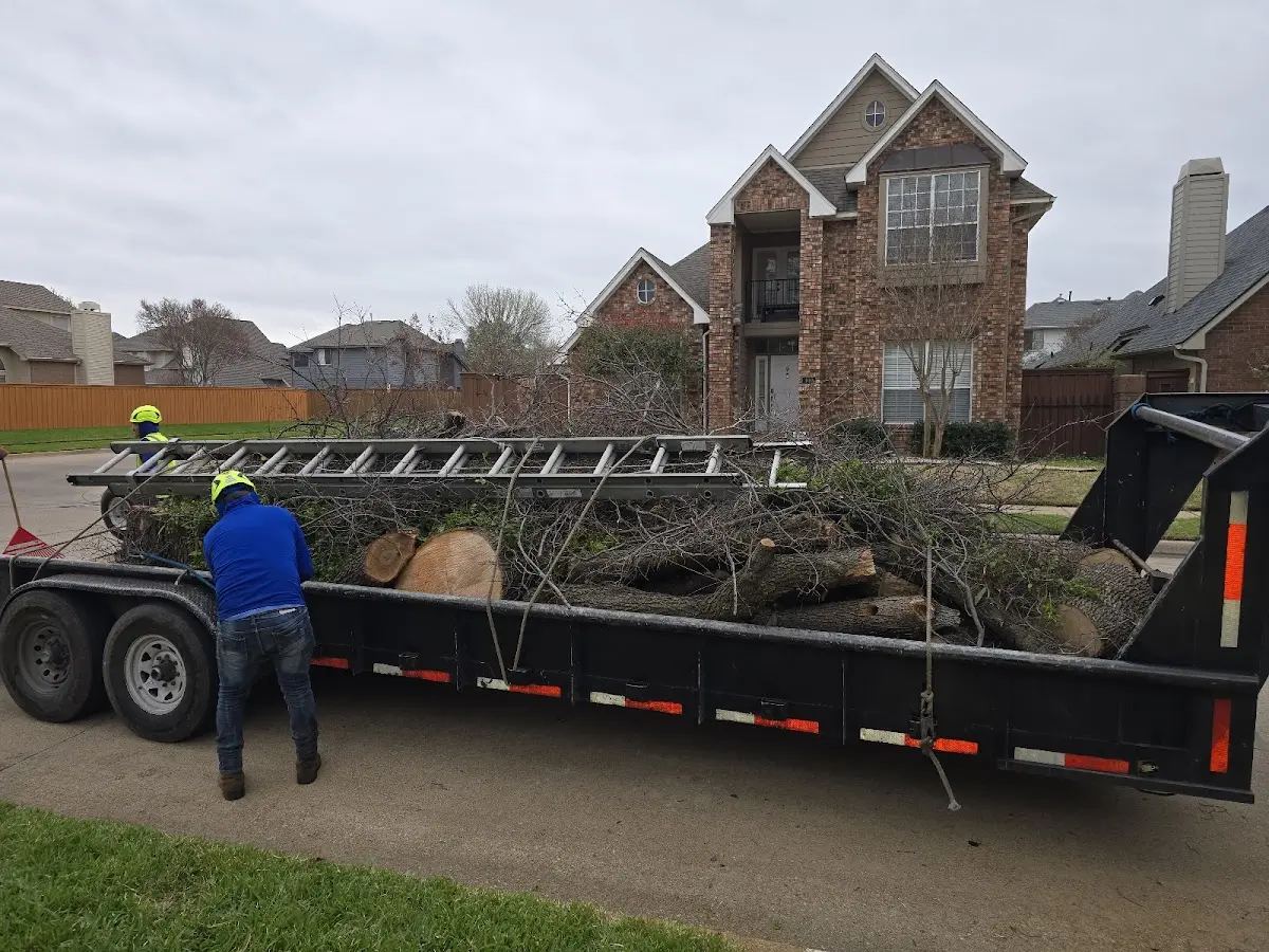 Expert Tree Fertilization with proper safety equipment in Hustonville